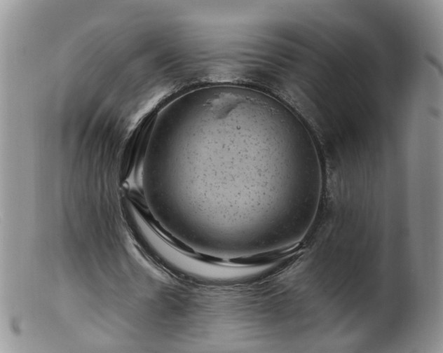 X0000099470530200805161113
