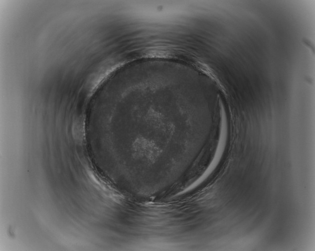 X0000099470531200805161113