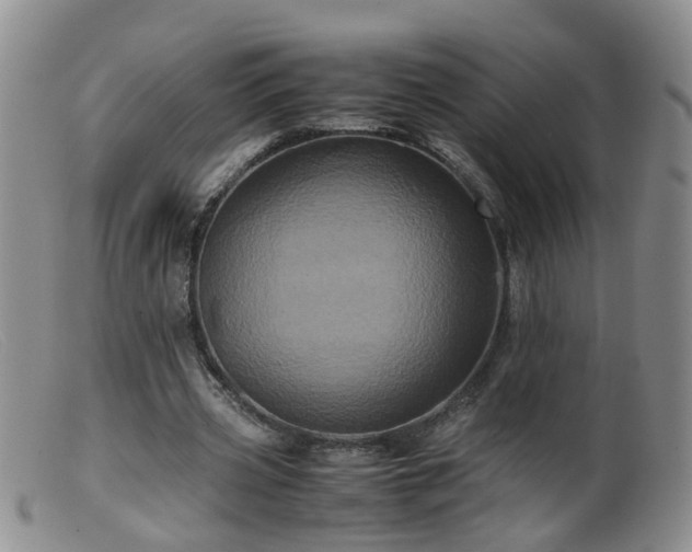 X0000099470533200805161113