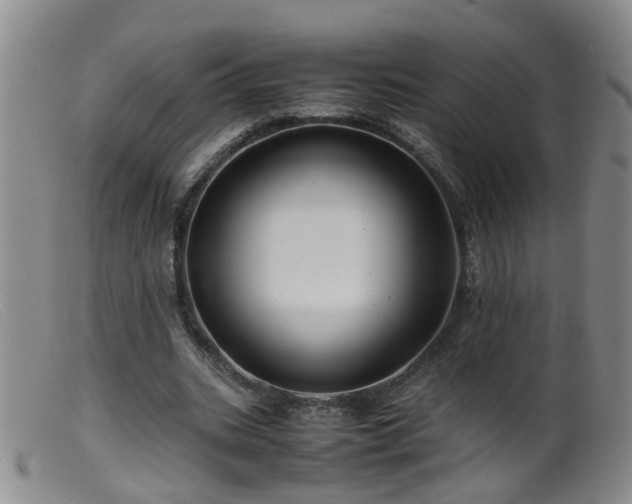 X0000099470535200805161113