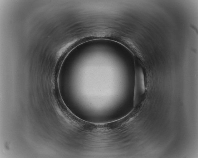 X0000099470536200805161113