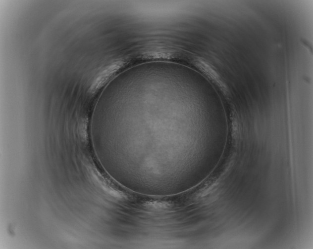 X0000099470537200805161113