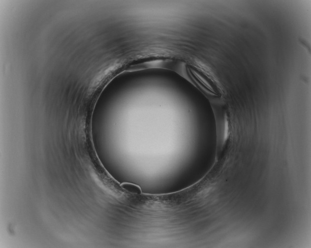 X0000099470538200805161113