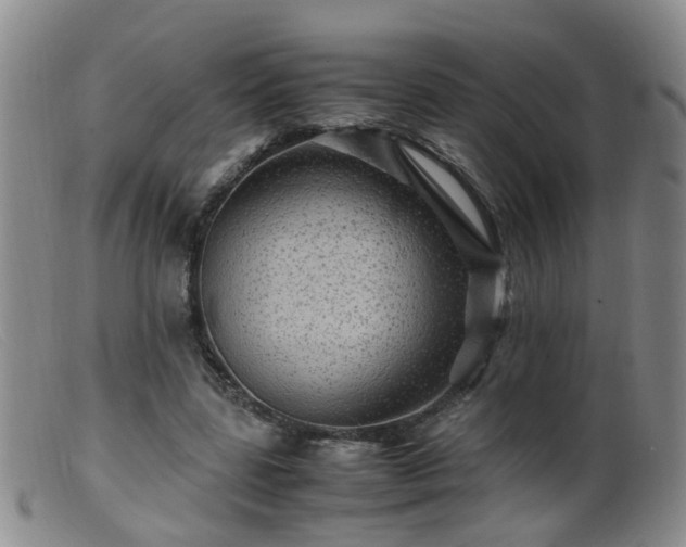 X0000099470539200805161113