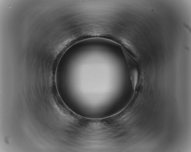 X0000099470540200805161113