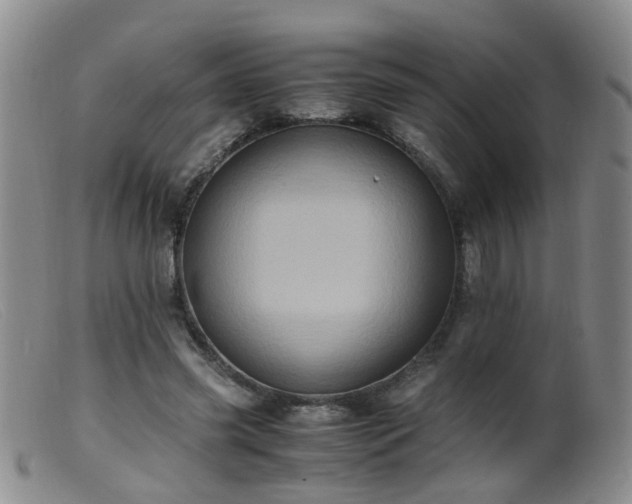 X0000099470541200805161113
