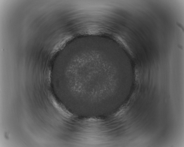 X0000099470542200805161113