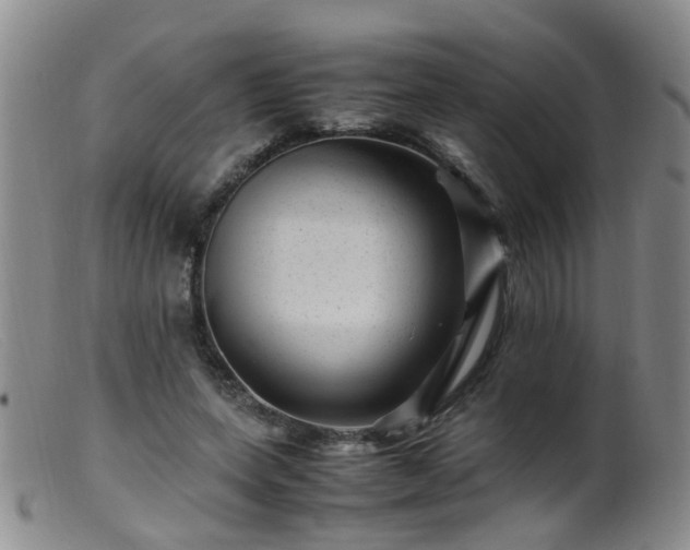X0000099470543200805161113