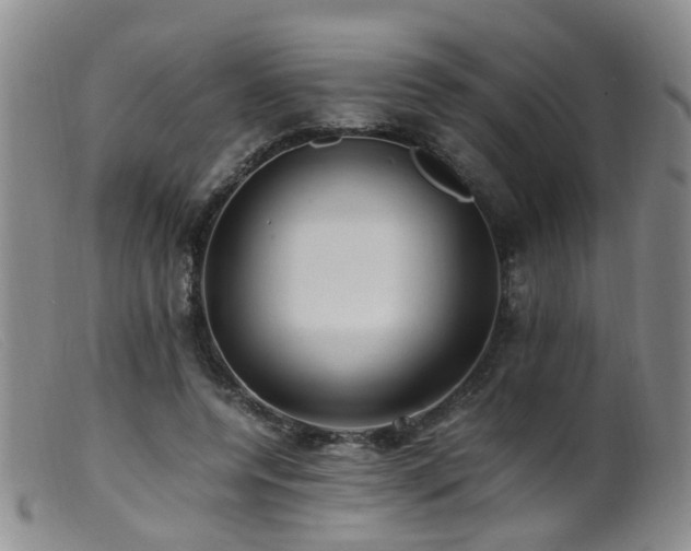 X0000099470544200805161113