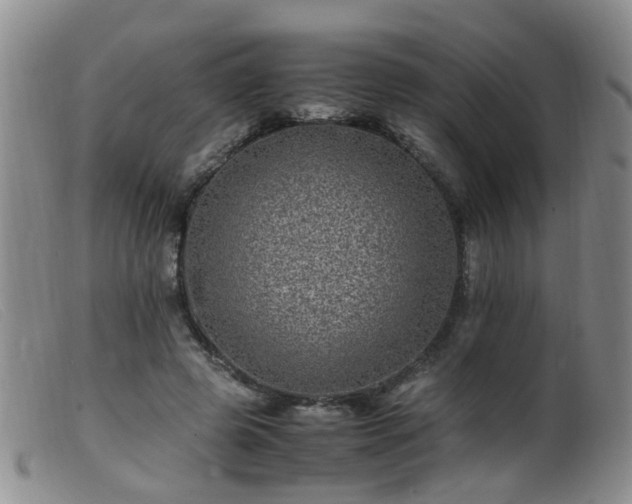 X0000099470545200805161113
