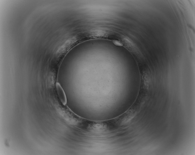 X0000099470546200805161113
