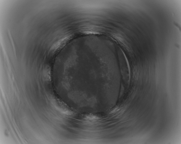 X0000099470547200805161113
