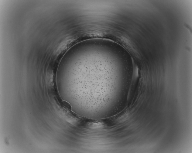 X0000099470548200805161113