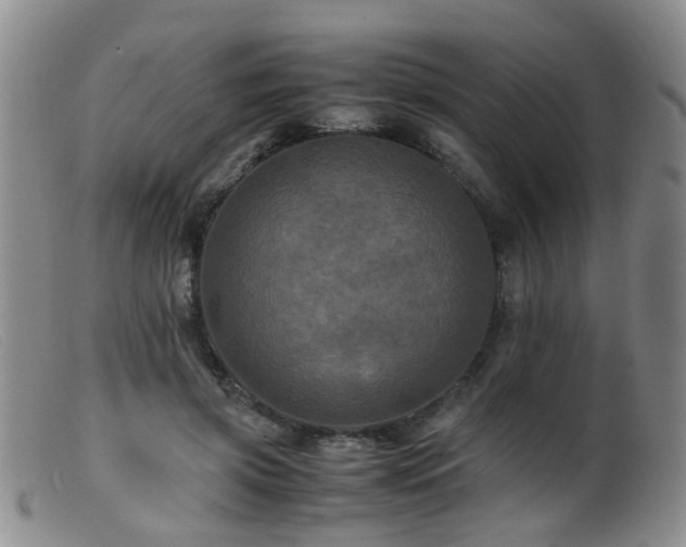 X0000099470549200805161113