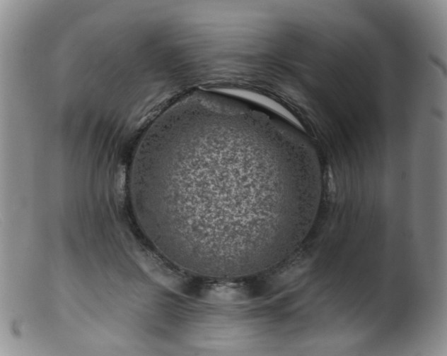 X0000099470550200805161113