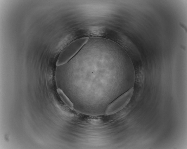 X0000099470552200805161113