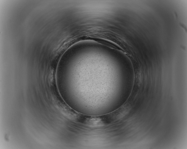 X0000099470554200805161113