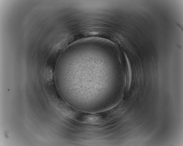 X0000099470555200805161113