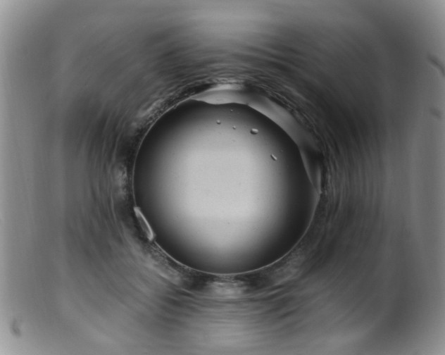 X0000099470556200805161113