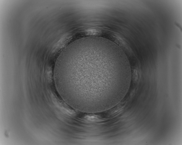X0000099470557200805161113