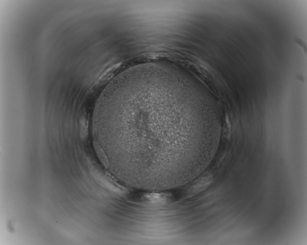 X0000099470558200805161113