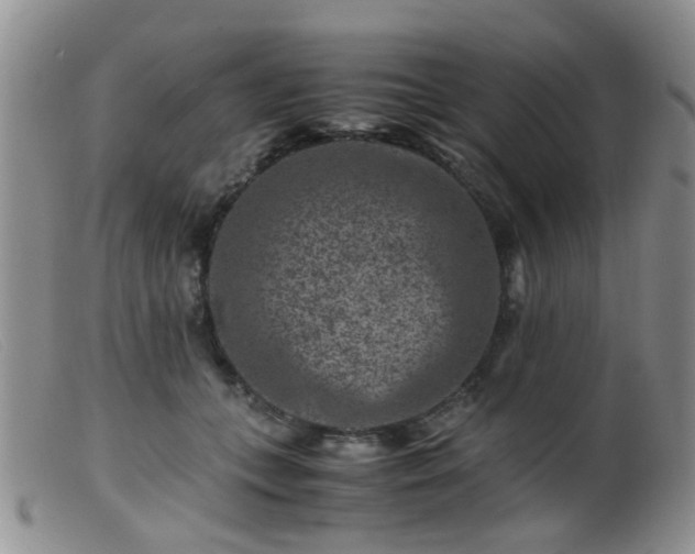 X0000099470559200805161113