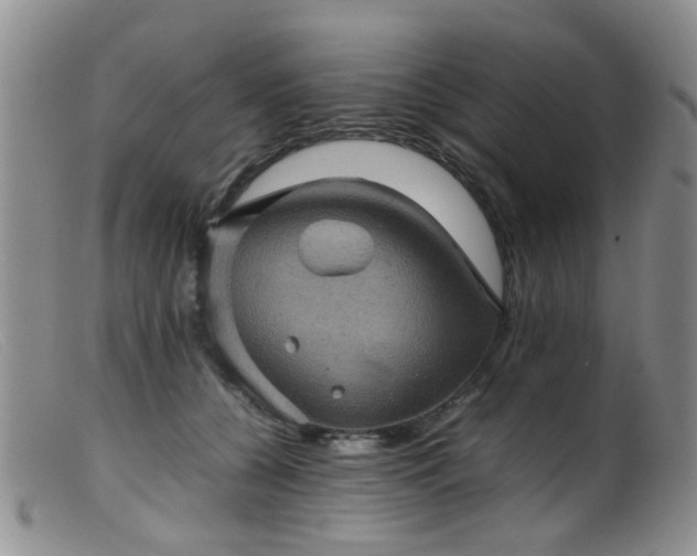 X0000099470560200805161113