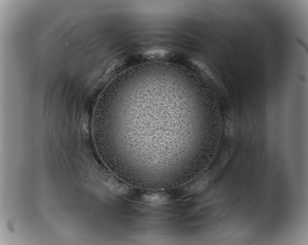 X0000099470561200805161114