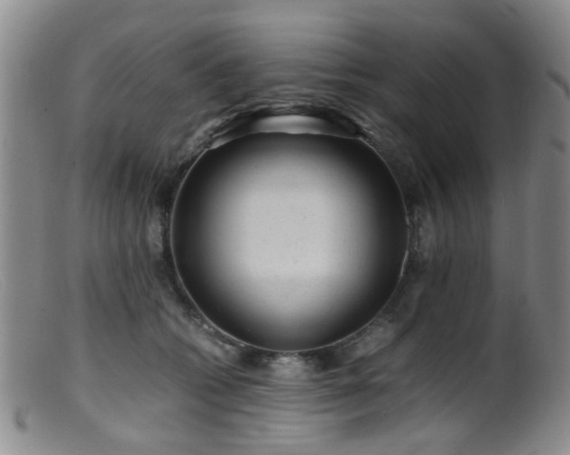 X0000099470562200805161114