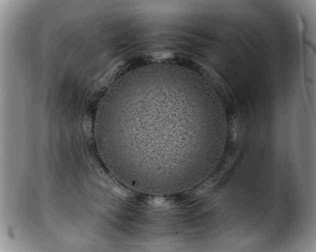 X0000099470565200805161114