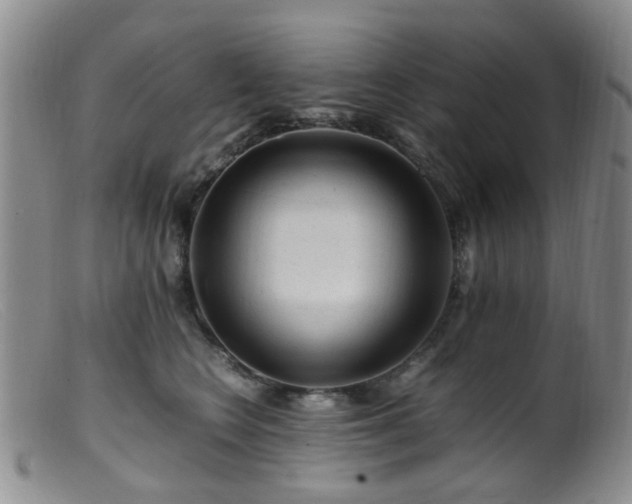 X0000099470566200805161114