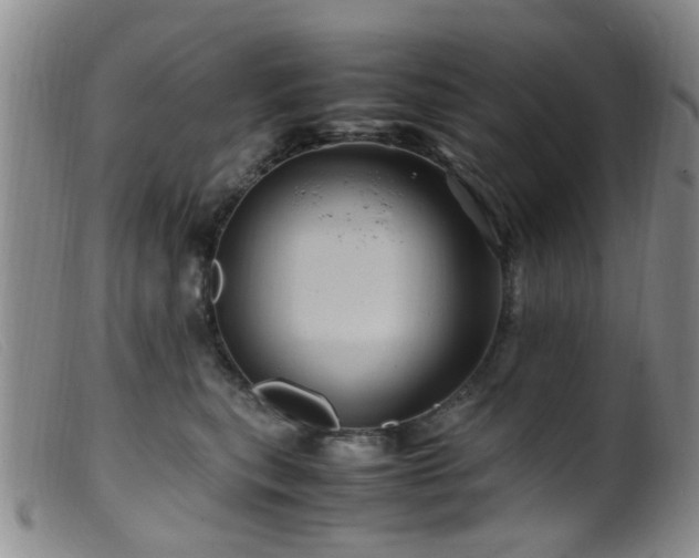 X0000099470567200805161114