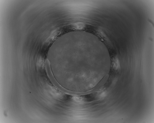 X0000099470568200805161114