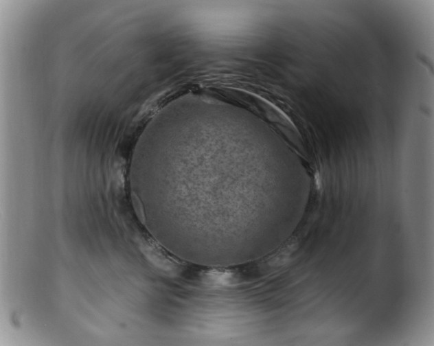 X0000099470570200805161114