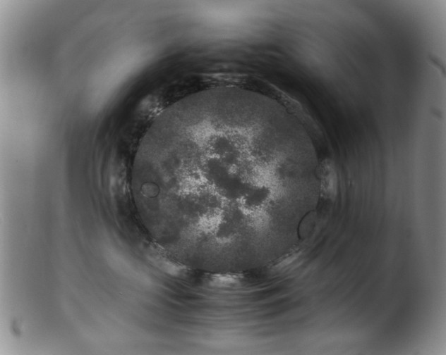 X0000099470573200805161114