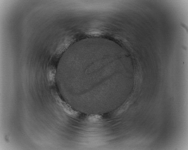 X0000099470576200805161114