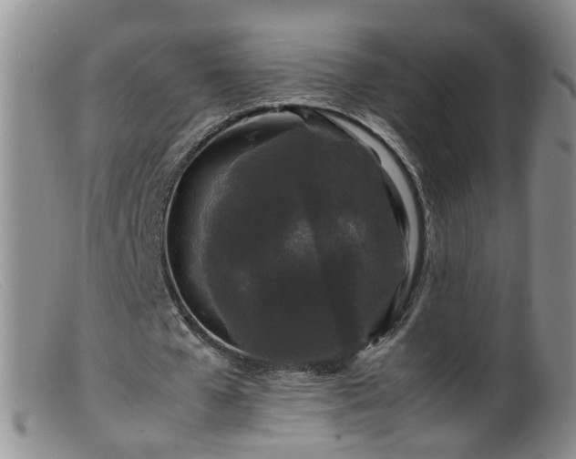 X0000099470577200805161113
