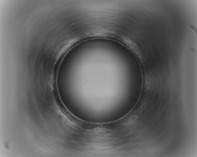 X0000099470578200805161113
