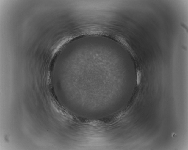 X0000099470579200805161113