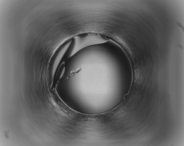 X0000099470580200805161113
