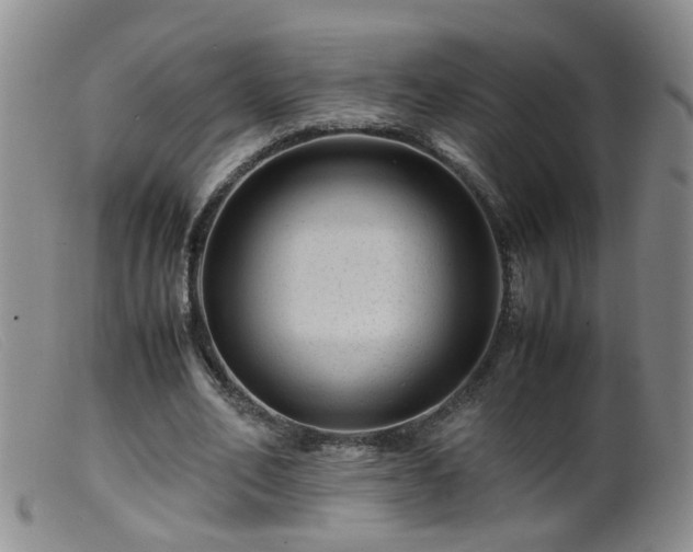 X0000099470582200805161113