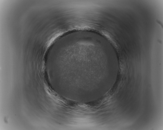 X0000099470583200805161113