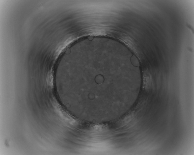 X0000099470584200805161113