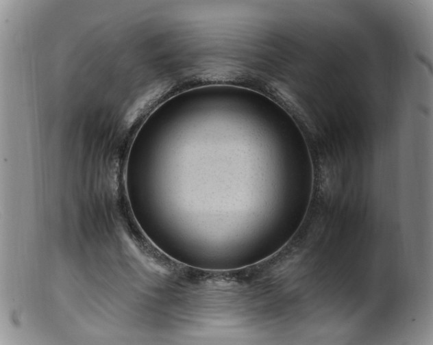 X0000099470586200805161113