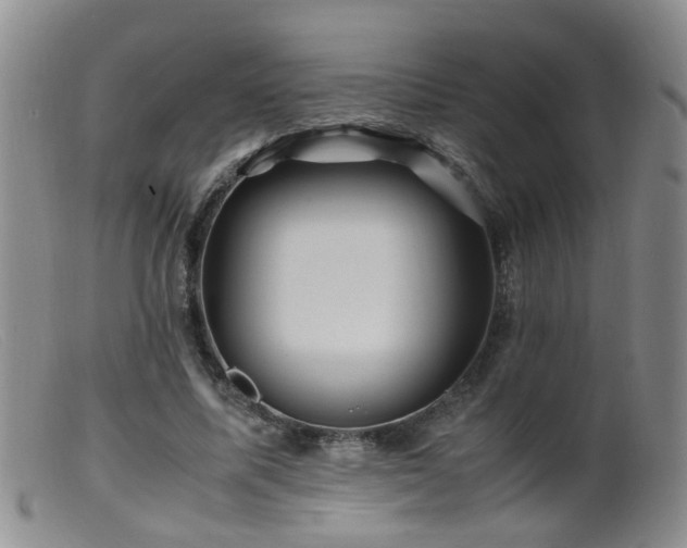X0000099470587200805161113