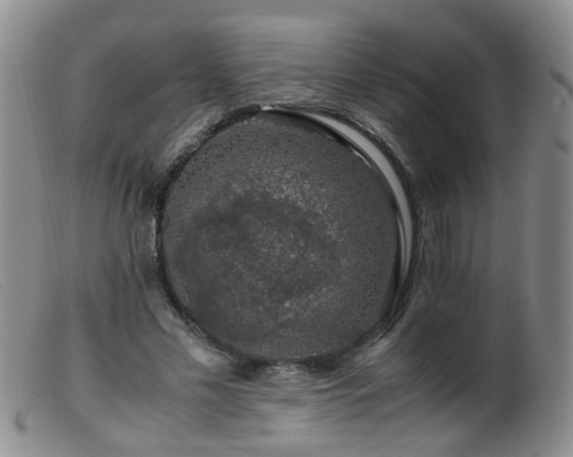 X0000099470589200805161113