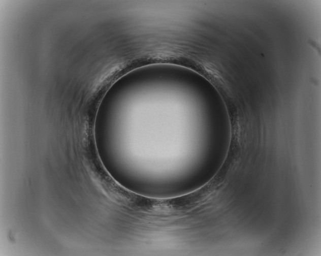 X0000099470591200805161113