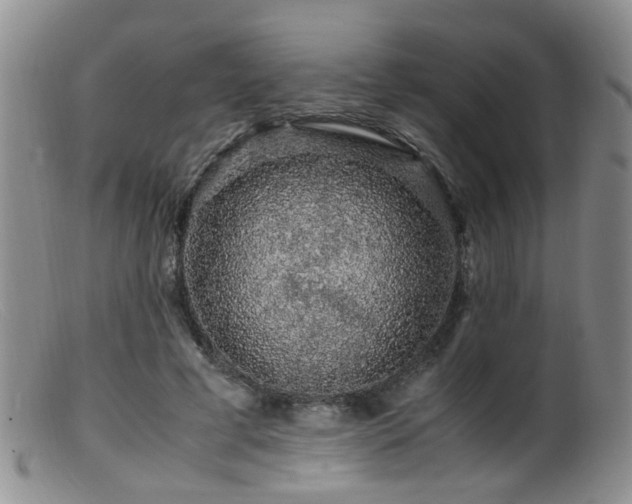X0000099470593200805161113