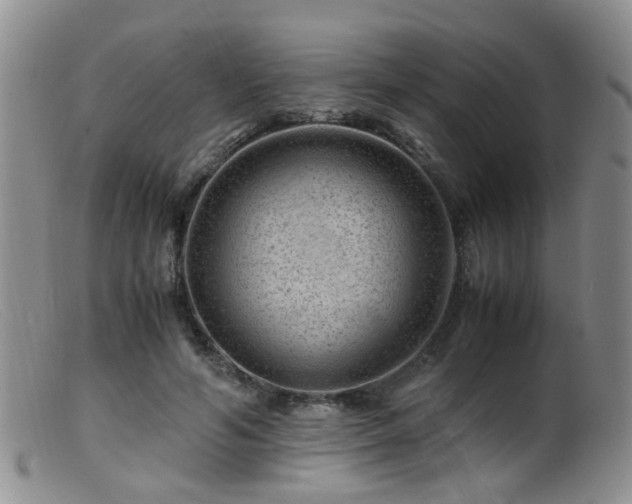 X0000099470594200805161113