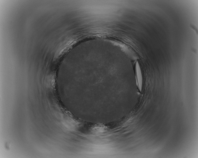 X0000099470595200805161113